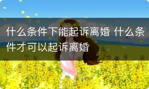 什么条件下能起诉离婚 什么条件才可以起诉离婚
