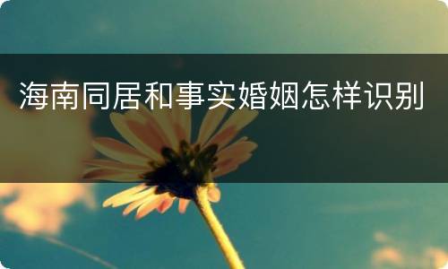 海南同居和事实婚姻怎样识别