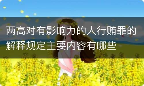 两高对有影响力的人行贿罪的解释规定主要内容有哪些