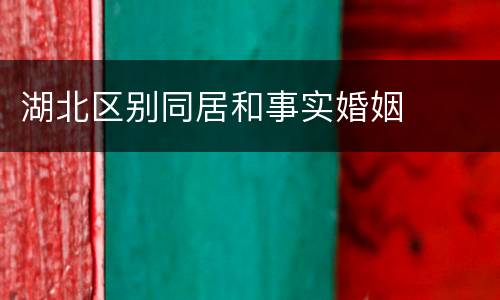 湖北区别同居和事实婚姻