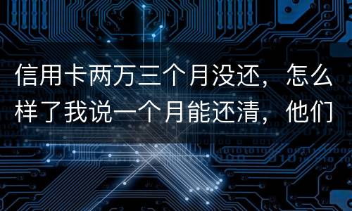 信用卡两万三个月没还，怎么样了我说一个月能还清，他们及了能坐牢吗