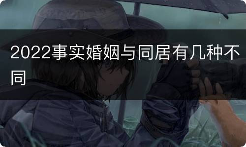 2022事实婚姻与同居有几种不同