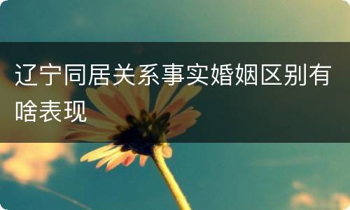 辽宁同居关系事实婚姻区别有啥表现