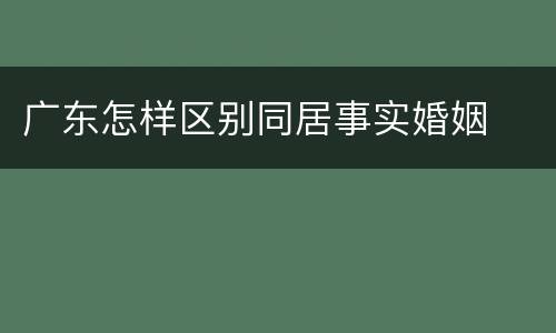 广东怎样区别同居事实婚姻