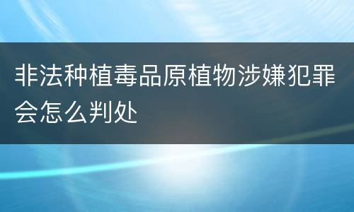 非法种植毒品原植物涉嫌犯罪会怎么判处