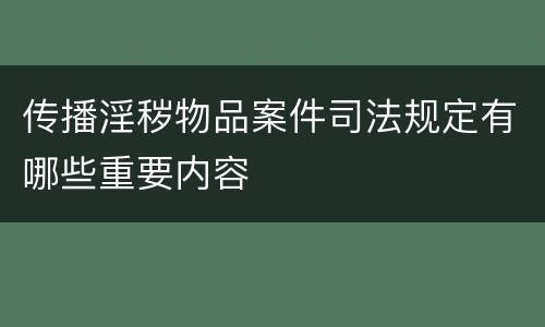 传播淫秽物品案件司法规定有哪些重要内容