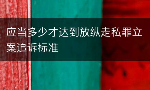 应当多少才达到放纵走私罪立案追诉标准