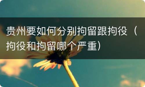 贵州要如何分别拘留跟拘役（拘役和拘留哪个严重）