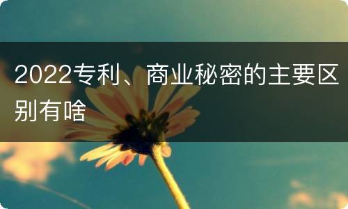 2022专利、商业秘密的主要区别有啥