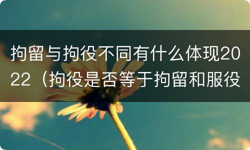拘留与拘役不同有什么体现2022（拘役是否等于拘留和服役）