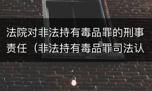 法院对非法持有毒品罪的刑事责任（非法持有毒品罪司法认定）