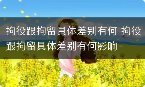 拘役跟拘留具体差别有何 拘役跟拘留具体差别有何影响