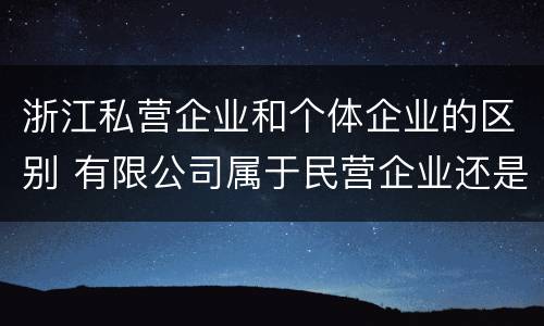 浙江私营企业和个体企业的区别 有限公司属于民营企业还是私企还是个体