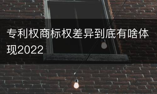 专利权商标权差异到底有啥体现2022