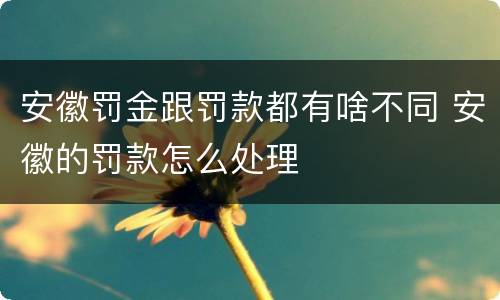 安徽罚金跟罚款都有啥不同 安徽的罚款怎么处理