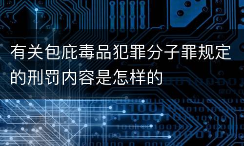 有关包庇毒品犯罪分子罪规定的刑罚内容是怎样的