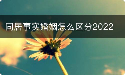 同居事实婚姻怎么区分2022