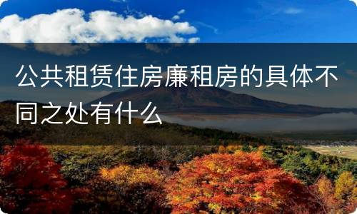 公共租赁住房廉租房的具体不同之处有什么