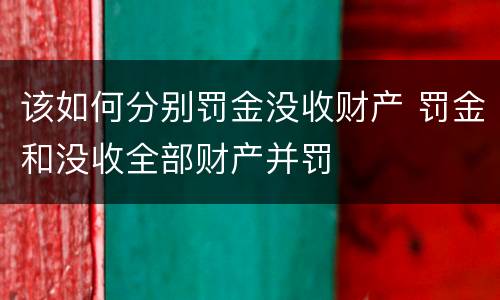 该如何分别罚金没收财产 罚金和没收全部财产并罚