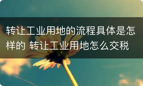 转让工业用地的流程具体是怎样的 转让工业用地怎么交税