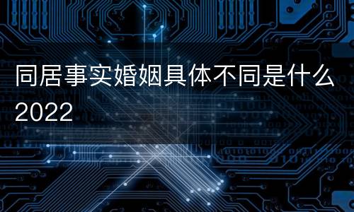 同居事实婚姻具体不同是什么2022