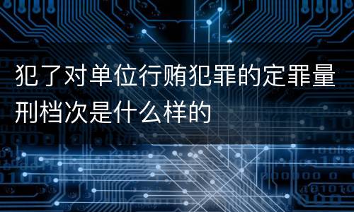 犯了对单位行贿犯罪的定罪量刑档次是什么样的