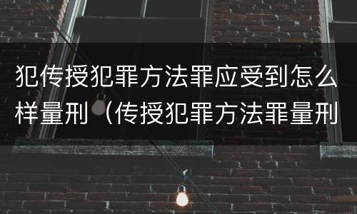 犯传授犯罪方法罪应受到怎么样量刑（传授犯罪方法罪量刑情节严重）
