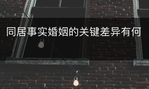 同居事实婚姻的关键差异有何
