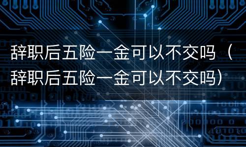 辞职后五险一金可以不交吗（辞职后五险一金可以不交吗）
