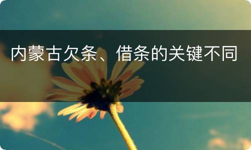 内蒙古欠条、借条的关键不同