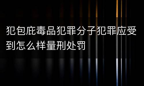 犯包庇毒品犯罪分子犯罪应受到怎么样量刑处罚