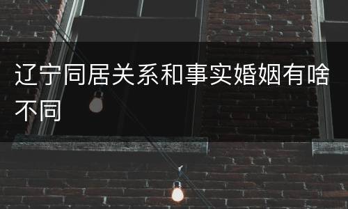 辽宁同居关系和事实婚姻有啥不同