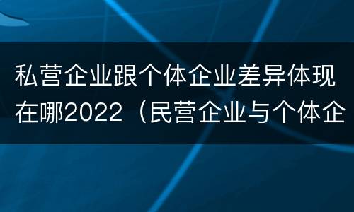 私营企业跟个体企业差异体现在哪2022（民营企业与个体企业的区别）