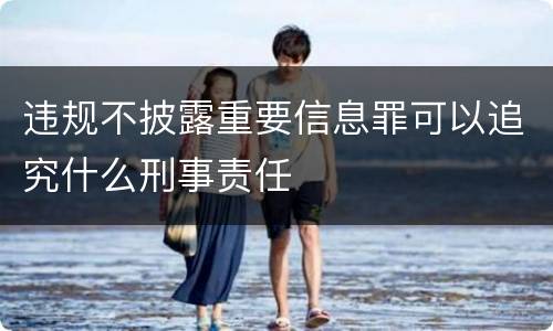 违规不披露重要信息罪可以追究什么刑事责任