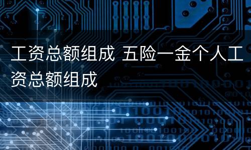 工资总额组成 五险一金个人工资总额组成