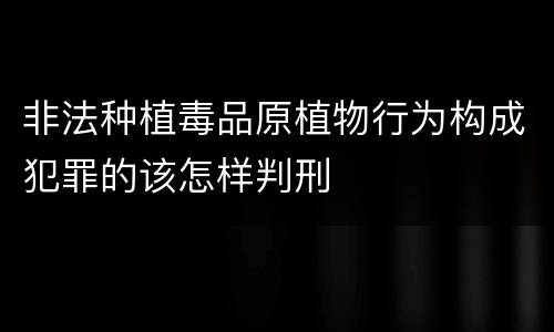 非法种植毒品原植物行为构成犯罪的该怎样判刑
