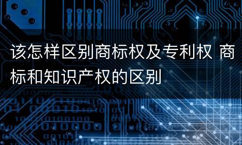 该怎样区别商标权及专利权 商标和知识产权的区别