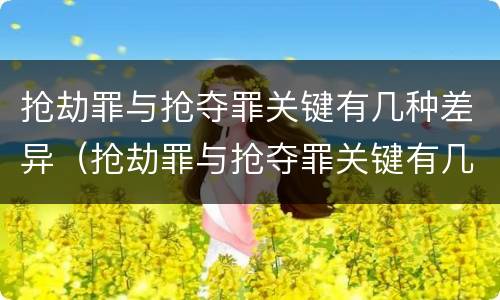 抢劫罪与抢夺罪关键有几种差异（抢劫罪与抢夺罪关键有几种差异的区别）