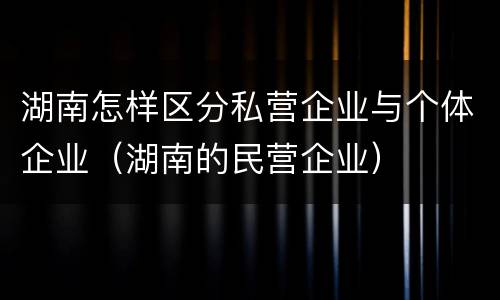 湖南怎样区分私营企业与个体企业(湖南的民营企业)