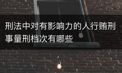 刑法中对有影响力的人行贿刑事量刑档次有哪些