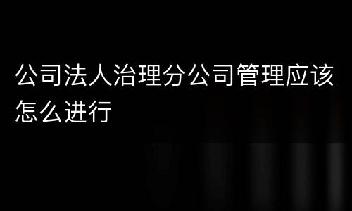 公司法人治理分公司管理应该怎么进行