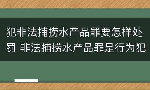 犯非法捕捞水产品罪要怎样处罚 非法捕捞水产品罪是行为犯吗