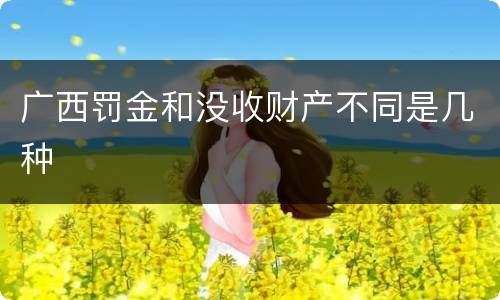 广西罚金和没收财产不同是几种
