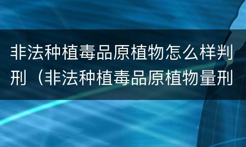 非法种植毒品原植物怎么样判刑（非法种植毒品原植物量刑）