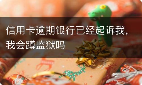 信用卡逾期银行已经起诉我，我会蹲监狱吗