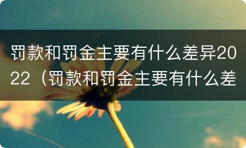 罚款和罚金主要有什么差异2022（罚款和罚金主要有什么差异2022年）