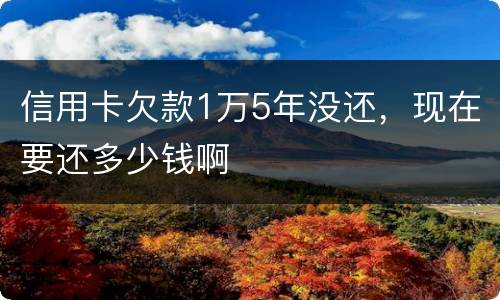信用卡欠款1万5年没还，现在要还多少钱啊