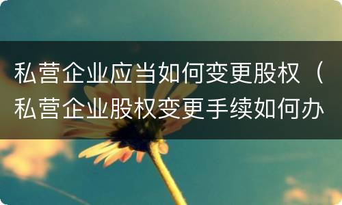 私营企业应当如何变更股权（私营企业股权变更手续如何办理）