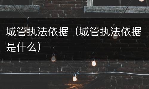 城管执法依据（城管执法依据是什么）