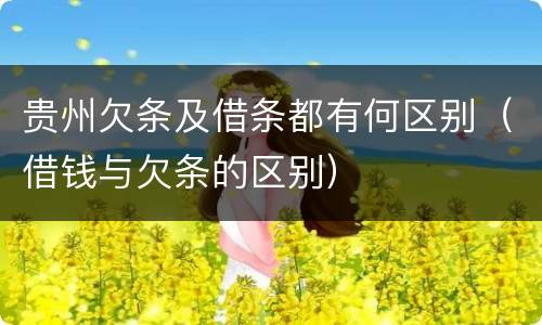 贵州欠条及借条都有何区别（借钱与欠条的区别）